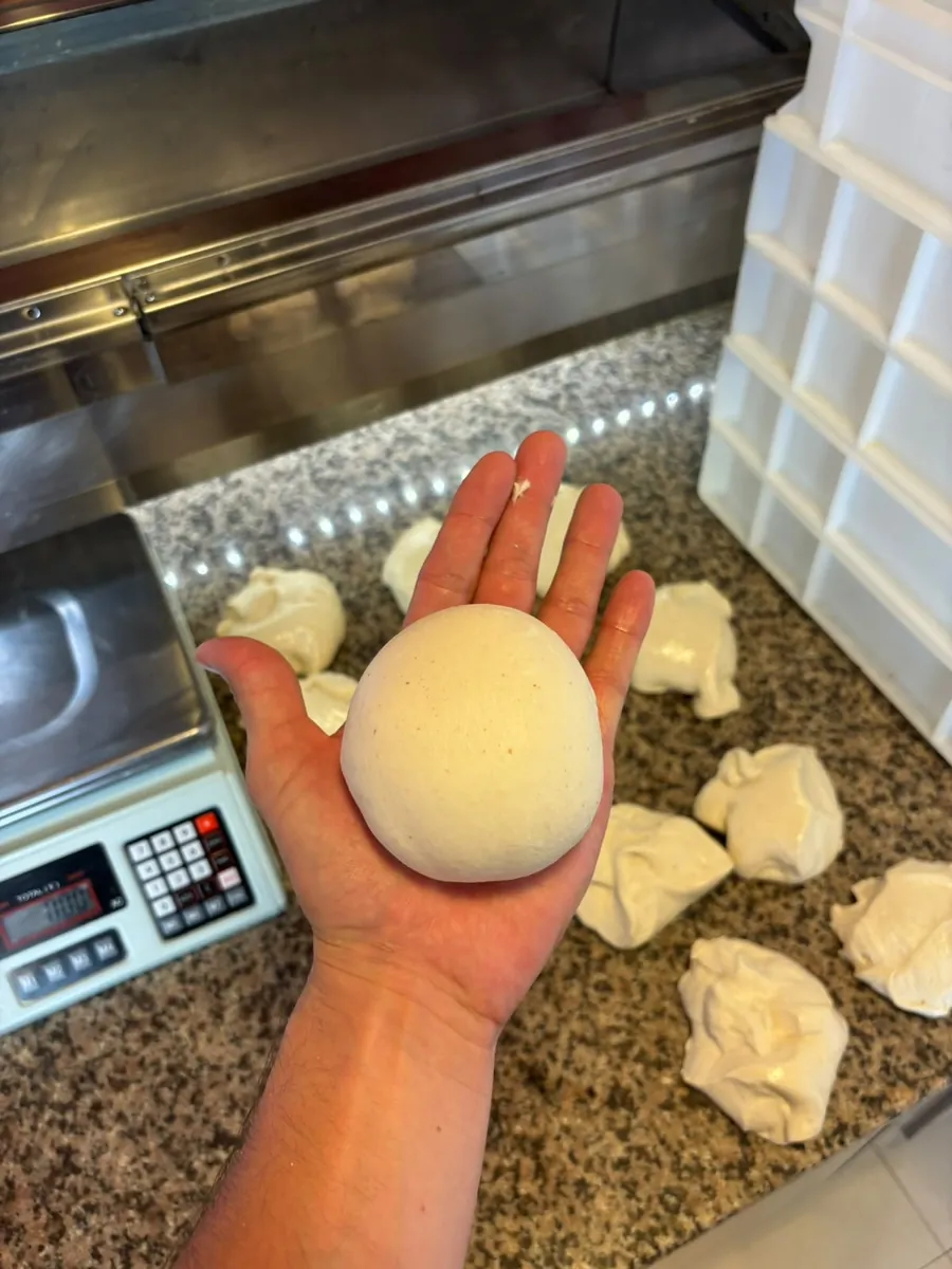 Bollo de masa de pizza napolitana hecho con biga, listo para estirar